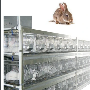 Двухсторонняя клетка для кроликов с промывкой водой из нержавеющей стали: JV222-RB44-30