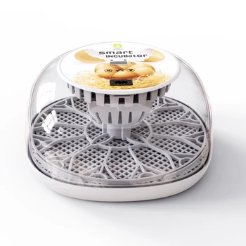 Инкубаторы для яиц Инкубаторы для кур Выводная машина для птицеводства на ферме Автоматическое переворачивание яиц Контроль температуры Вилка США