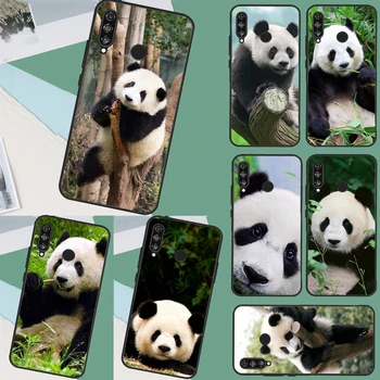 Симпатичный чехол для животных китайской панды для Huawei Mate 60 Pro P60 P40 P30 Lite Nova 5T 3i 8i 11i Nova 9 10 SE Y60 Y61 Y70 Y90