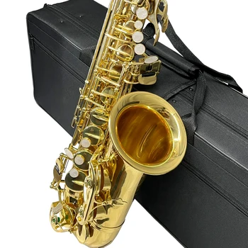 Хорошая цена Китайский высококачественный альт-саксофон Более производительный корпус из черного никеля Саксофон Альто с аксессуарами